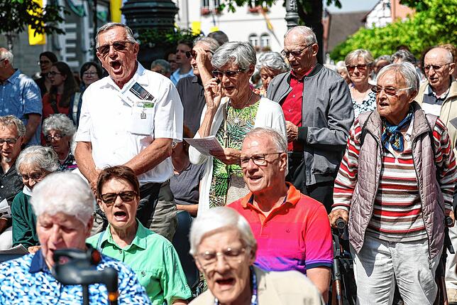 Bild 5: Traditionelles Hausherrenfest in Radolfzell – Die besten Bilder