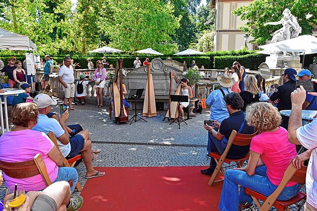 Bild 3: Donauquellfest in Donaueschingen: Pralle Sonne, gute Laune, Bierkultur.