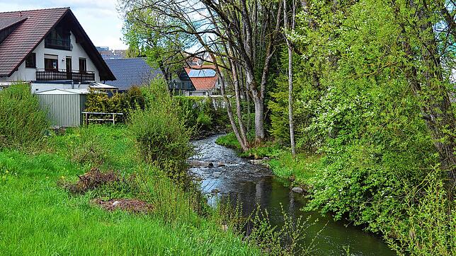 Die Niedereschacher Bäche sind meist so ruhig und idyllisch wie hier die Eschach im Bereich der Villinger und Niedereschacher Straße. ...