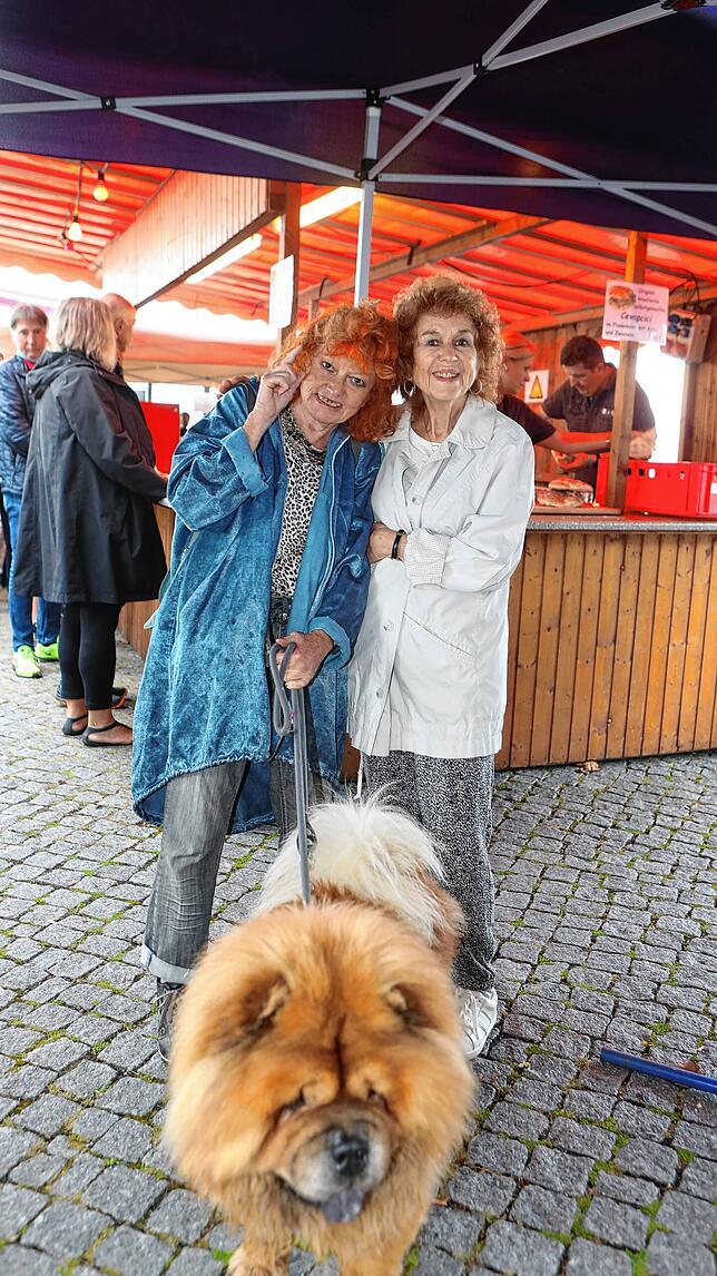 Bild 4: Gute Stimmung beim Hafenfest! Am Wochenende geht es in Staad nochmal rund