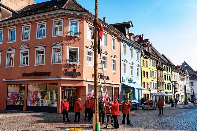 Damit der Baum auch wirklich in die Bickenstraße fällt, bringen die Ziegelbuben zur Sicherheit vor dem Fällen ein Zugseil am Baum an.