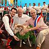 Der Chilbibock wird alljährlich beim Waldshuter Heimatfest verlost. Mit dem Hörnertier zeigen sich auf dem Foto von 2019 der damalige ...