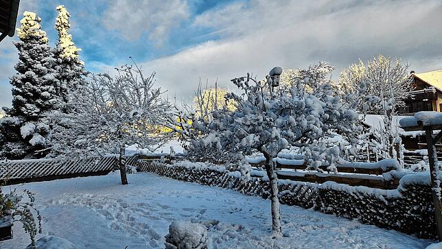 Der Morgen danach: Konstanz erwacht unter einer Schneedecke