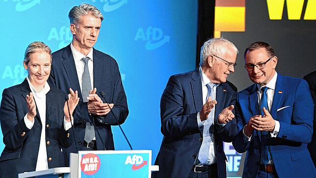 Alice Weidel (v.l), AfD-Bundessprecherin, Marc Jongen, Kandidat der AfD für die Europawahl, Emil Sänze, AfD-Landesvorsitzender in ...