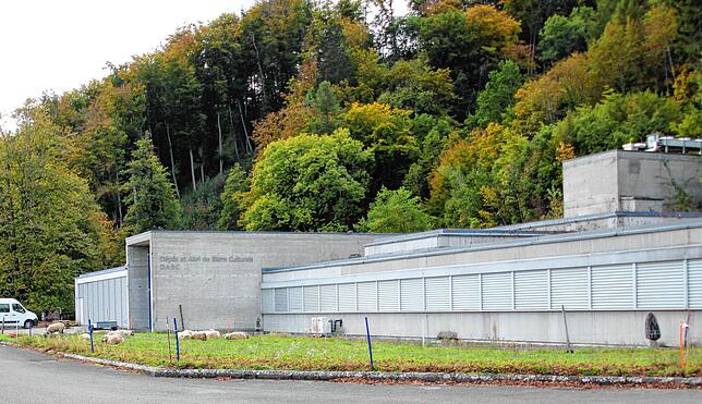 Schafe weiden vor dem Stollen von Lucens.