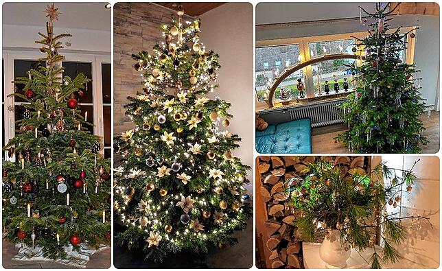 So schön und kreativ sind die Weihnachtsbäume unserer Leser in der Region. Eine kleine Auswahl.