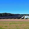 Blick auf den 2022 fertiggesellen Freiflächen-Solarpark bei den Spitalhöfen in Pfaffenweiler. Wenn die Stadt bis 2050 klimaneutral ...