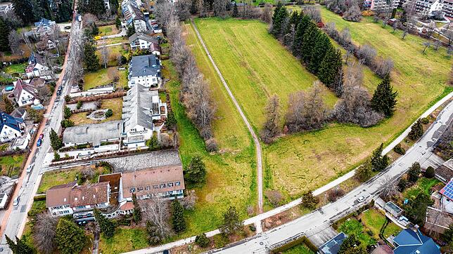 Blick auf die große Wiese im Kurgebiet, links die Häuser im Farnweg, unten die Oberförster-Ganter-Straße. Unser Bild stammt von April 2021.
