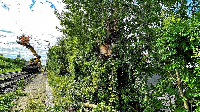 Der Grund für die Sperrung: So lange an der Oberleitung gearbeitet werden muss, kann auf diesem Gleis bei Allensbach kein Zug fahren.