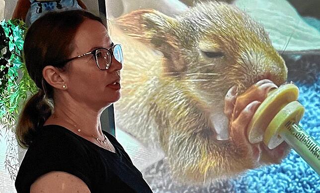 Iris Kubik hat sich zu einer Fachfrau für Eichhörnchenpflege weitergebildet und betreibt quasi nebenbei eine Pflegestelle für die ...