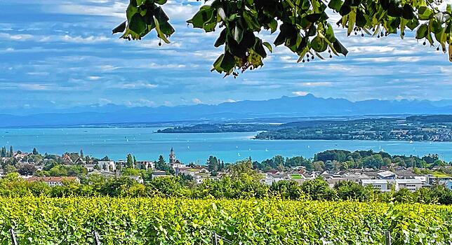 Bild 8: So lebt es sich in Überlingen: Streifzug durch die Gemeinde