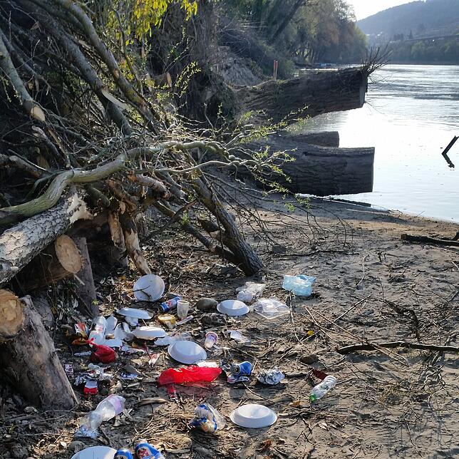 Jede Menge Plastikmüll: Umweltsünder entsorgen ihren Müll häufig am Ufer des Rheins, wie hier im Frühjahr vergangenen Jahres. Dabei ...