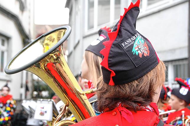 Bild 11: Die Narren sind los! Die VSAN feiert ihre Jahreshauptversammlung in der Konzilstadt