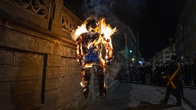 Bild 14: Fasnet in Flammen: So beerdigen die Narren die fünfte Jahreszeit in Überlingen!