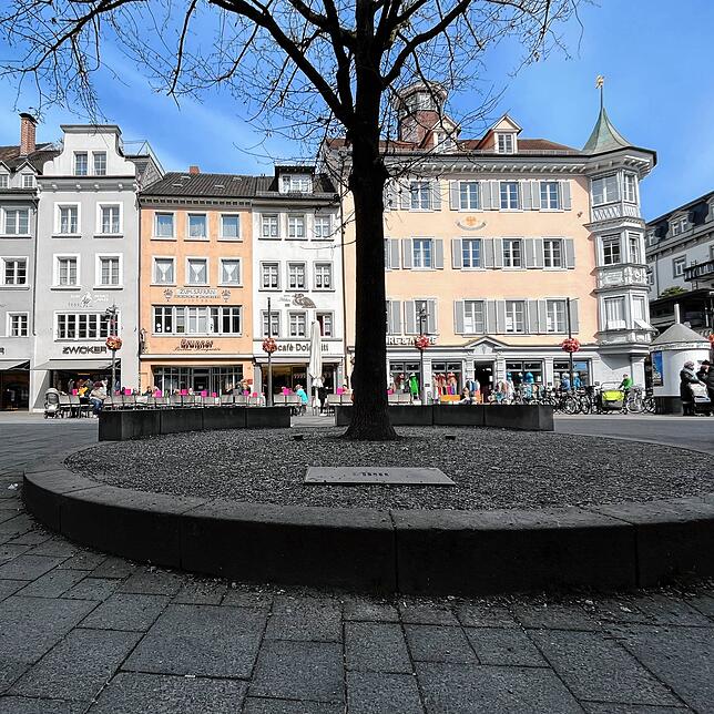 Bild 2: Zwischen Betonwüste und Blütenmeer &ndash; Wo finden Konstanzer eigentlich den Frühling in der Stadt?