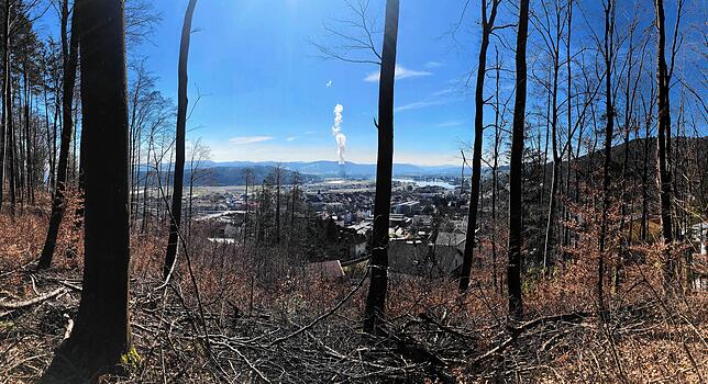 Rund um Waldshut, wie hier am Waldshuter Mühleberg, bietet sich ein Ausblick über die Stadt und die benachbarte Schweiz.