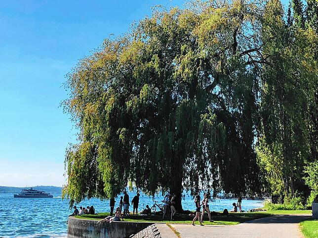 Bild 10: So schön ist der erste richtige Sonnentag am Bodensee