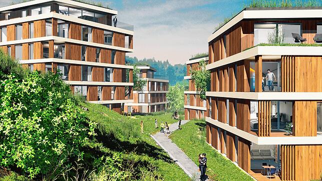 So könnten die vier geplanten Wohntürme in der Von-Kilian-Straße in Waldshut nach den Plänen des Architekten Henning Musahl und des ...