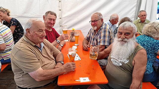 Bild 7: Bilder vom Dorffest: Bestes Wetter und beste Stimmung beim Dorffest in Limpach im Deggenhausertal