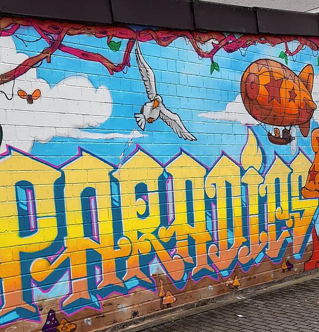 So sieht es aus, das gelungene Graffiti an der Braunegger Straße nahe der HTWG. Das verleiht Farbe und Fröhlichkeit.