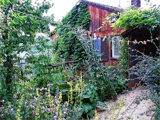 Der Ornithologe und Verhaltensforscher Professor Peter Berthold füttert auch in seinem eigenen Naturgarten im Überlinger Hinterland ...
