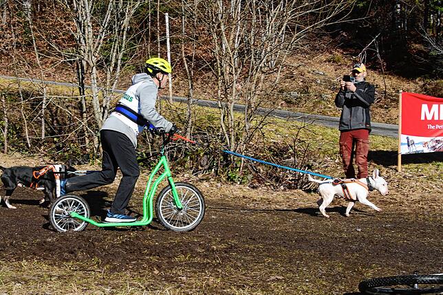 Mit Scooter und einem Hund ghet dieser Musher auf den Todtmoos-Trail.