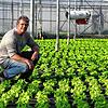 &bdquo;Mein Salat sieht mich jeden Tag&ldquo;, sagt Egino Wehrle. Sinkt die Temperatur auf 0 Grad, muss er die Heizung im Gewächshaus ...