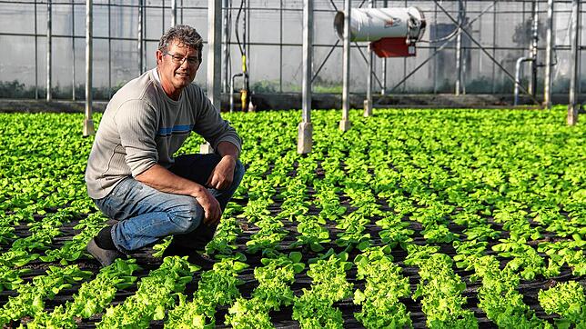 &bdquo;Mein Salat sieht mich jeden Tag&ldquo;, sagt Egino Wehrle. Sinkt die Temperatur auf 0 Grad, muss er die Heizung im Gewächshaus ...