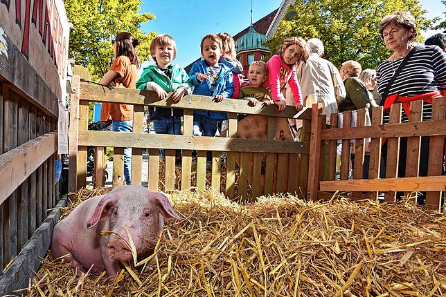Bild 17: Tolle Donaueschinger Herbstfeststimmung...