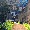 In Blois ist es wegen der Ausgangssperre so ruhig, dass sich Rehe in die Randgebiete der Stadt vorwagen.