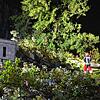 Schwere Unwetter über der Region: Auf einem Campingplatz in Allensbach ist ein Baum auf einen Wohnwagen gestürzt.