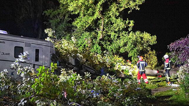 Schwere Unwetter über der Region: Auf einem Campingplatz in Allensbach ist ein Baum auf einen Wohnwagen gestürzt.