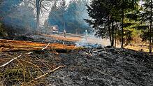 Um Vegetations- und Waldbrände besser zu bekämpfen, wird im Kreis Sigmaringen eine entsprechende Arbeitsgruppe der Feuerwehr eingerichtet.