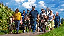 Bild : Auf Eseln zum Handwerker- und Bauernmarkt