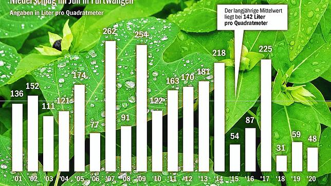 Bild : Es wird immer heißer und trockener im oberen Bregtal