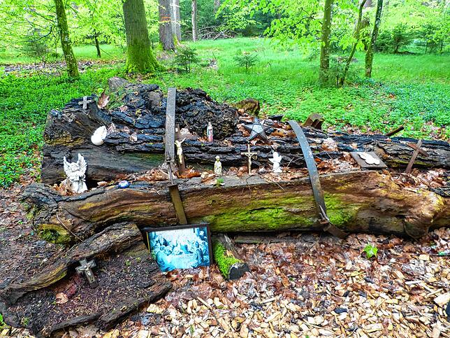 Der Rest der alten Eiche ist noch vorhanden und soll da verrotten, wo der Baum Jahrhunderte gestanden hat. Auch alte Devotionalien ...
