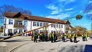 Die Froschzeller Holzer stellten ruhig und besonnen den Jubiläumsbaum in das Narrenbaumloch bei der Mühlinger Grundschule.