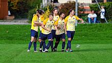 Die SG Dettingen-Dingelsdorf darf jubeln: Sie besiegt den SC Gottmadingen-Bietigheim mit einem späten Tor zum 3:2.