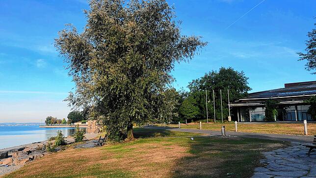 Open-Air-Konzerte am Graf-Zeppelin-Haus und damit direkt am Häfler Bodenseeufer? 2022 ist davon nichts in Sicht, 2023 könnte sich das ...