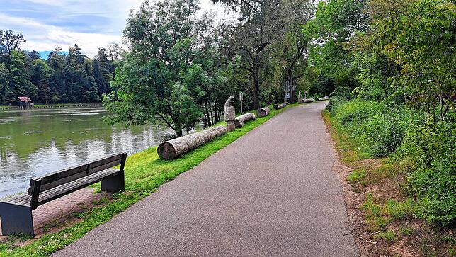 Radwege führen am Rhein entlang durch Murg hindurch und bieten auch genügend Rastplätze.