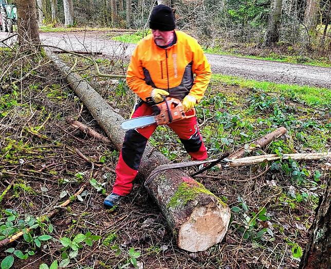 Die Rinde bleibt aus einem besonderen Grund dran: Stefan Richt macht den Schwenninger Baum mit der Motorsäge schön.