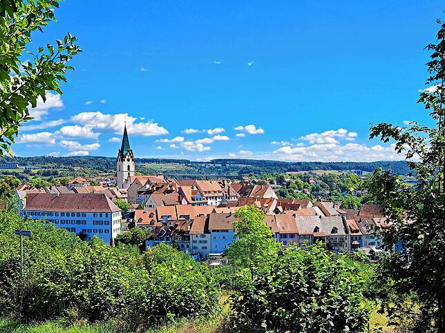Einen schönen Blick auf das historische Altstadtensemble von Engen bekommt man vom gegenüberliegenden Hugenberg aus.