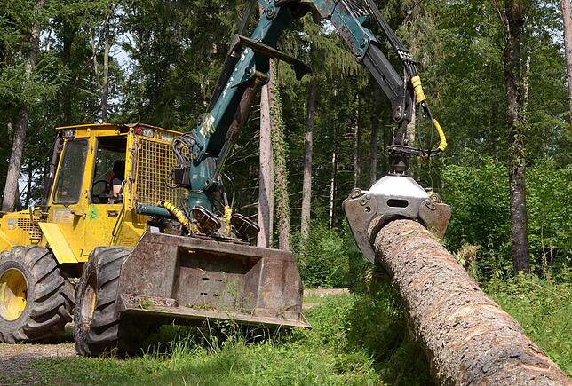 Forstunternehmer haben derzeit alle Hände voll zu tun, damit das vom Buchdruckerkäfer verseuchte Holz möglichst rasch aus dem Wald kommt.