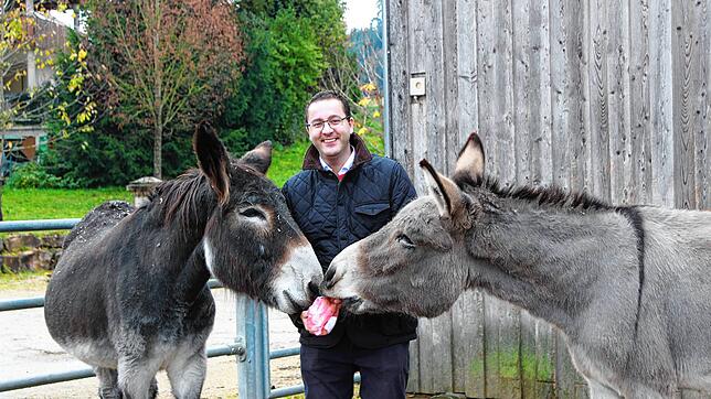 Der Geschäftsführer vom Hofgut Braunenberg, Max Büttiker, gibt den Eseln Frederic (links) und Nelson ein paar Streicheleinheiten und ...
