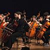 Auf öffentliche Auftritte hat die Musikschule Radolfzell &ndash; wie hier beim Muttertagskonzert 2019 &ndash; Corona-bedingt verzichten ...