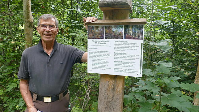 Bernhard Meier pflegt seinen Wald in Degerfelden. Wanderer erfahren am Wegrand Wissenswertes über das Modellprojekt. Auch Akazienarten ...