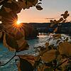 Herbstlicher Sonnenuntergang durch noch dichtes Blätterwerk am Rhein bei Ettikon.