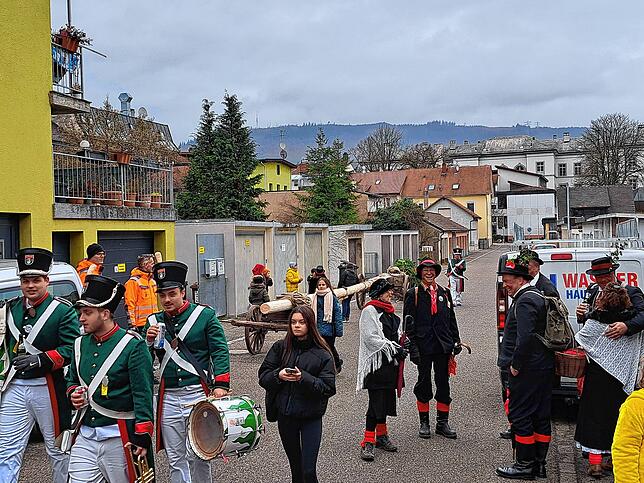 Bild 19: So schön ist der Wäldertag in Bad Säckingen (2)