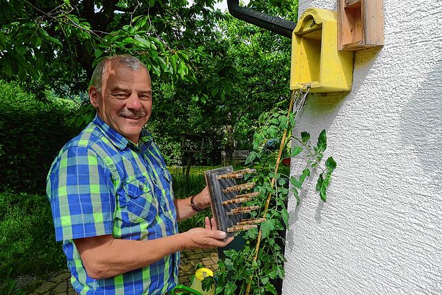 mdx 19 deg insektenhotel_6 Ein interessantes Insektenhotel vom Nabu hat Knut Simon in seinem Garten. In Glasröhrchen kann man sehen, wie viele Eier beziehungsweise ...