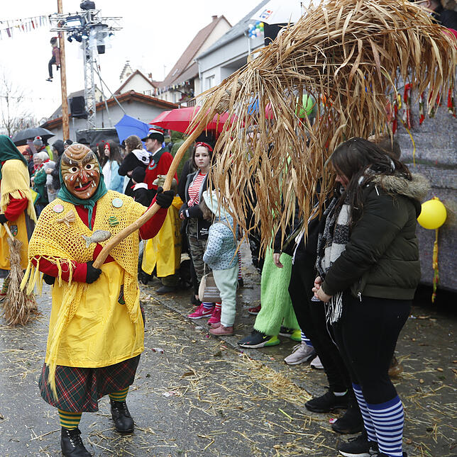 Bild 23: Bilder zum großen Narrentreffen in Pfohren (3)